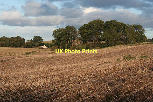 Photo 6"x4" Field at Earlsmill Whitemire\/NH9754 c2011
