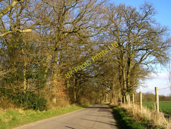 Photo 6"x4" The Middleway at Gravelly Bank Copse, Middleton Forton\/SU4143 c2006