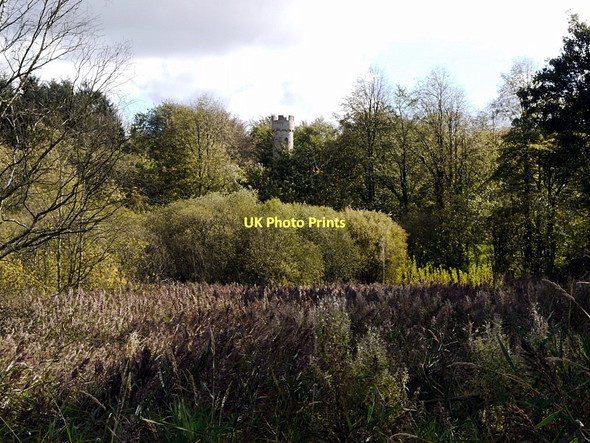 Photo 6"x4" Fen Carr, Hardwick Hall Country Park Sedgefield c2011