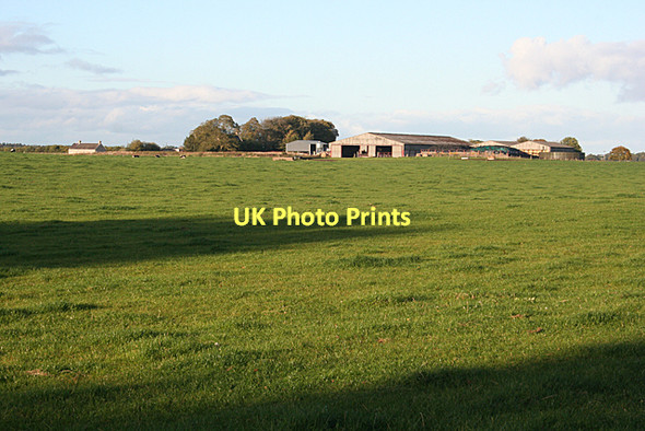 Photo 6"x4" Tearie Farm Dyke\/NH9858 c2011