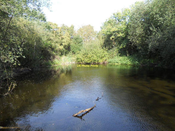 Photo 6"x4" Pond on Brick Fields Cranham Upminster c2011