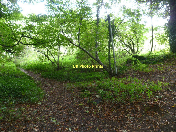 Photo 6"x4" Footpath sign on Rotten Hill Lynch\/SU5049 c2011