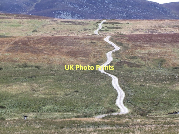 Photo 6"x4" New road, Glencuilt Kinrive Plantation c2011