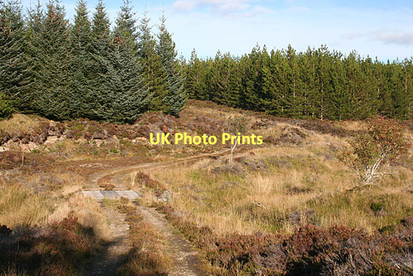 Photo 6"x4" Mannoch Road Stripe of Loan c2011