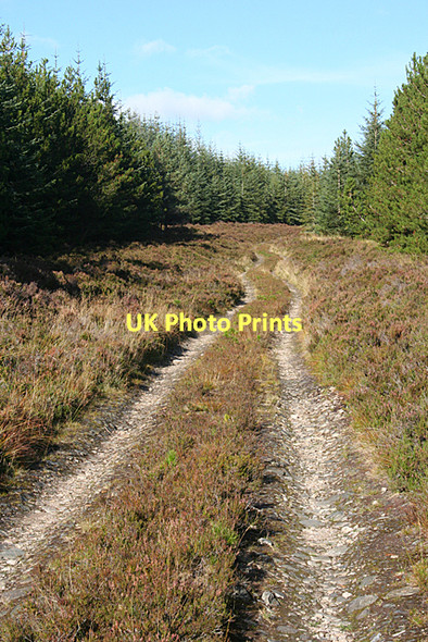 Photo 6"x4" Mannoch Road Stripe of Loan c2011 P1
