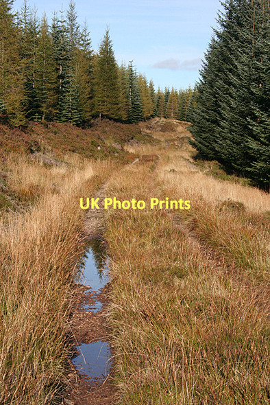 Photo 6"x4" Mannoch Road Stripe of Loan c2011