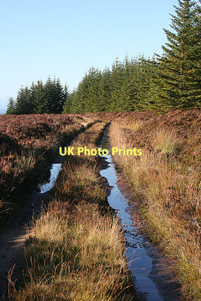Photo 6"x4" Mannoch Road Pikey Hill c2011