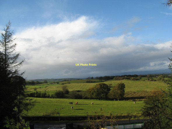 Photo 6"x4" Fields along Keltie Bridge Newton Mearns c2011