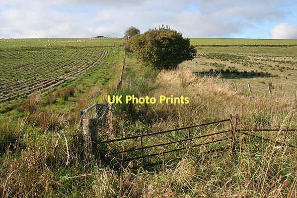 Photo 6"x4" Not much of a Road! Rothes c2011