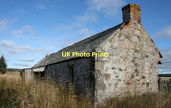 Photo 6"x4" Derelict Cottage Rothes c2011