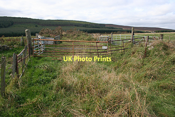 Photo 6"x4" HOW many gates? Rothes c2011