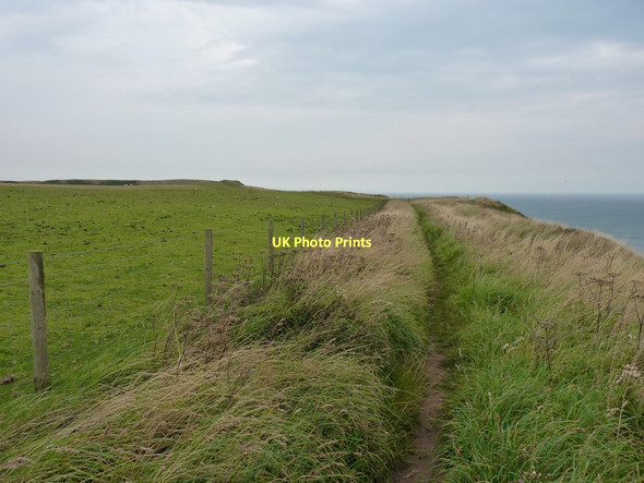 Photo 6"x4" The Headland Way on the north coast Bempton c2011
