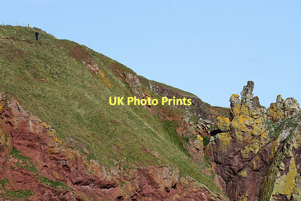 Photo 6"x4" Bell Hill at St Abbs Northfield\/NT9167 c2011