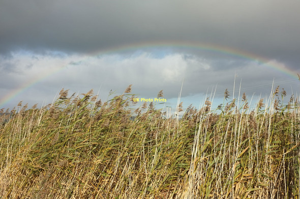 Photo 6"x4" Rainbow over the reedbed St Madoes c2011