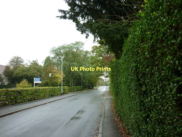 Photo 6"x4" North Lane, Lady Wood, Leeds Lady Wood\/SE3337 c2011