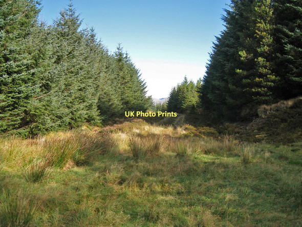 Photo 6"x4" Looking back from the end Glen Bernisdale c2011