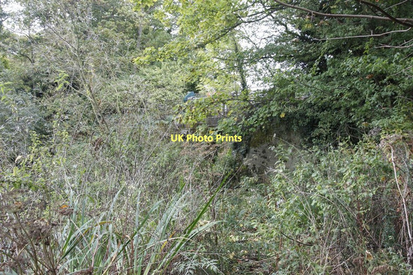 Photo 6"x4" Weir in the shrubbery Culham c2011