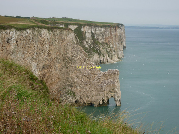 Photo 6"x4" Scale Nab and New Rollup Bempton c2011