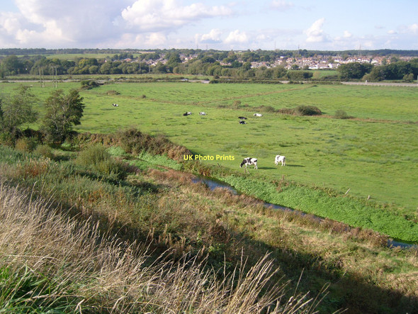 Photo 6"x4" River Piddle Floodplain Wareham c2011