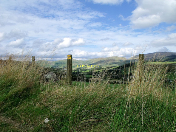 Photo 6"x4" Fencing by lay-by north of Moffat Moffat c2011