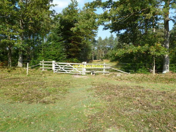 Photo 6"x4" Ober Heath, gate and stile North Weirs c2011