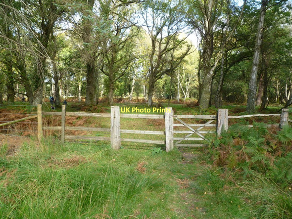 Photo 6"x4" Poundhill Inclosure, gates Bank\/SU2807 c2011