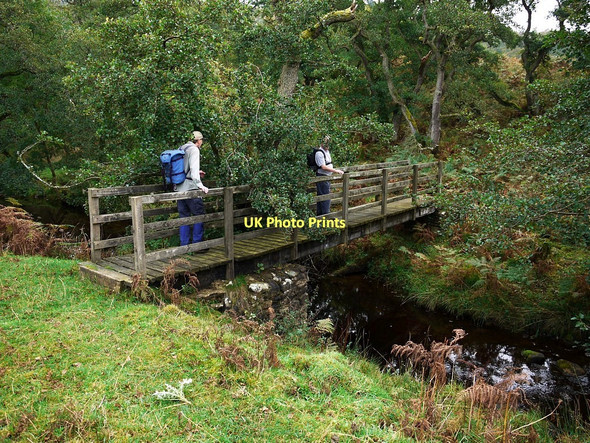 Photo 6"x4" Footbridge over Edlingham Burn Edlingham c2011