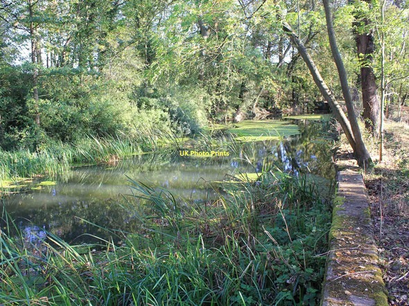 Photo 6"x4" River Leam, Floodgate Spinney Radford Semele c2011