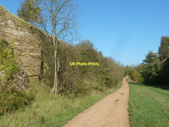 Photo 6"x4" Old railway cutting near Pleasley Moorhaigh c2011
