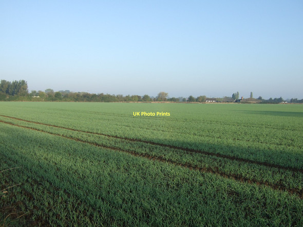 Photo 6"x4" Farmland off Temple Lane Acaster Malbis c2011