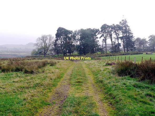 Photo 6"x4" Track north of Wandystead Edlingham c2011