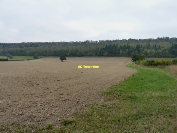 Photo 6"x4" Permissive path heading towards Wenlock Edge Lushcott c2011