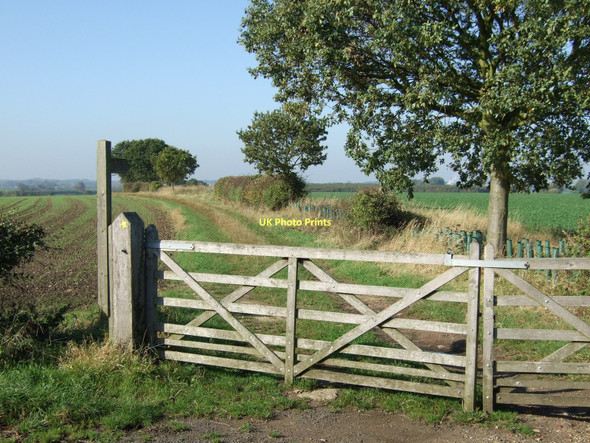 Photo 6"x4" Track to Ouston Farm (footpath) Tadcaster c2011