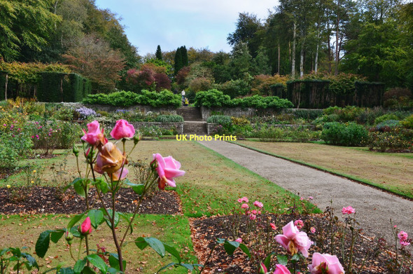 Photo 6"x4" Castle Drogo, Devon: Formal Garden Drewsteignton c2011