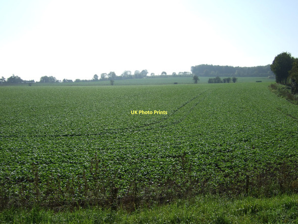 Photo 6"x4" Farmland near Stutton Tadcaster c2011
