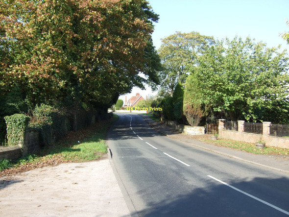 Photo 6"x4" Wighill Lane towards Wighill Tadcaster c2011