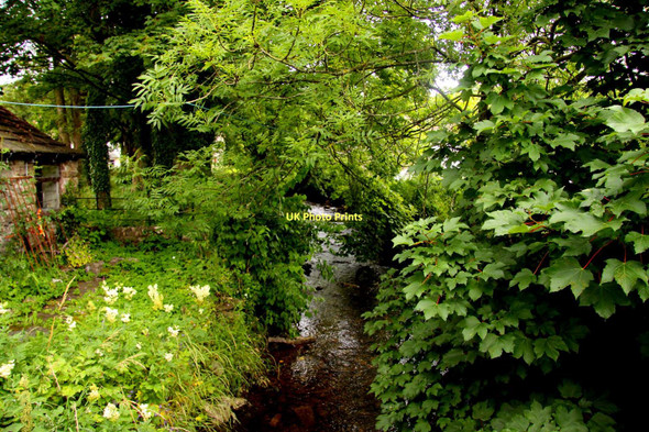 Photo 6"x4" Malham Beck Malham\/SD9062 c2011