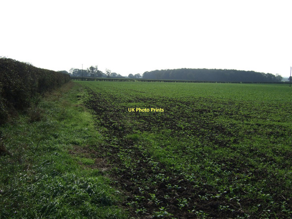 Photo 6"x4" Farmland, Bilbrough Moor Street Houses\/SE5245 c2011
