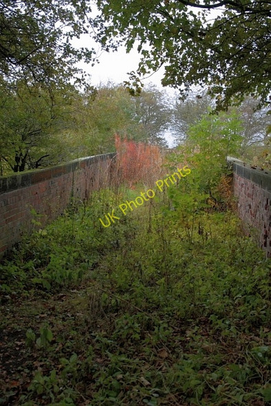 Photo 6"x4" Bridge over the Dismantled Castle Eden Railway Fulthorpe c2009