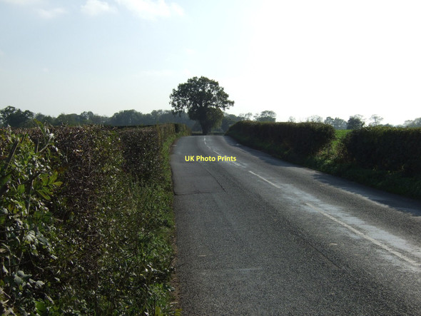 Photo 6"x4" Colton Lane heading south Bilbrough c2011