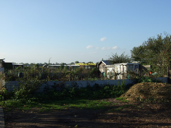 Photo 6"x4" Allotments off Bishopthorpe Road York\/SE5951 c2011