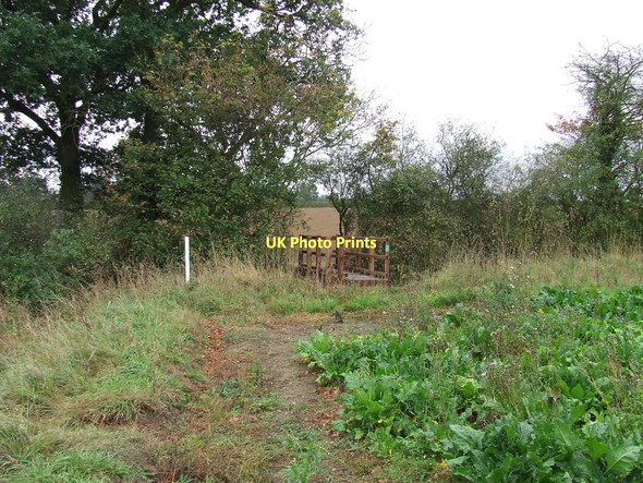 Photo 6"x4" New Bridge World's End\/TL9955 c2011