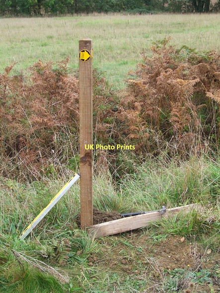 Photo 6"x4" New Sign World's End\/TL9955 c2011
