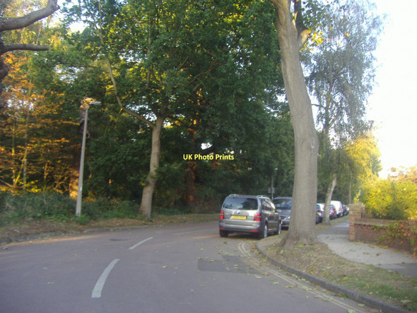 Photo 6"x4" Meadlands Drive, Ham Kingston Upon Thames c2011