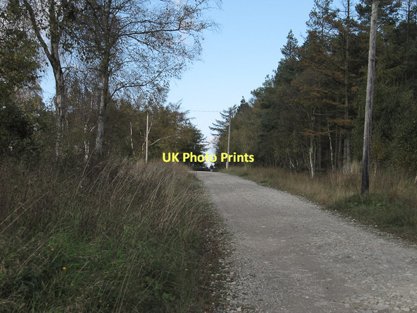 Photo 6"x4" Sutherland Road Cawthorne\/SE7789 c2011