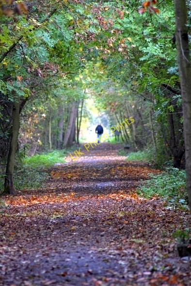 Photo 6"x4" Castle Eden Walkway Grindon\/NZ3925 c2009