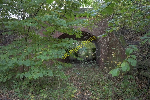 Photo 6"x4" Bridge Under Trackbed of Old Railway Grindon\/NZ3925 c2009
