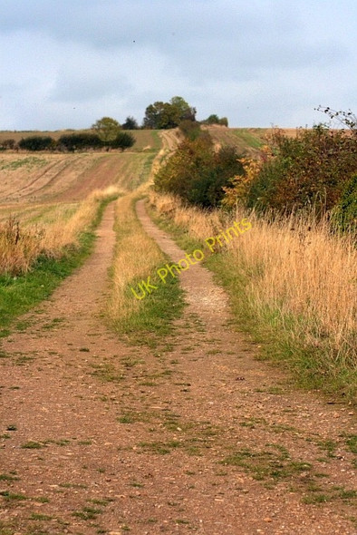 Photo 6"x4" Track to Grindon Cottages Fulthorpe c2009