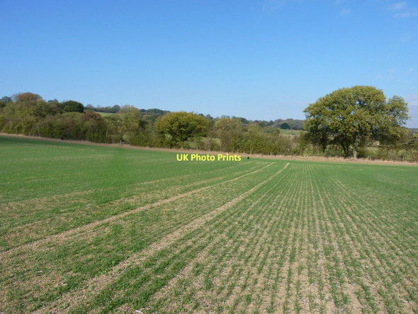 Photo 6"x4" Footpath towards Preen Manor Church Preen c2011