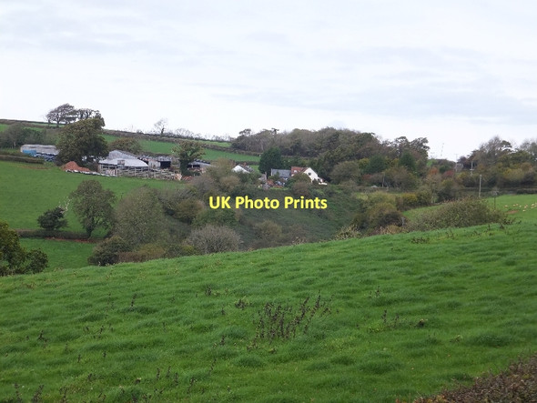 Photo 6"x4" Well Farm and the stream valley Little Silver\/SS9109 c2011